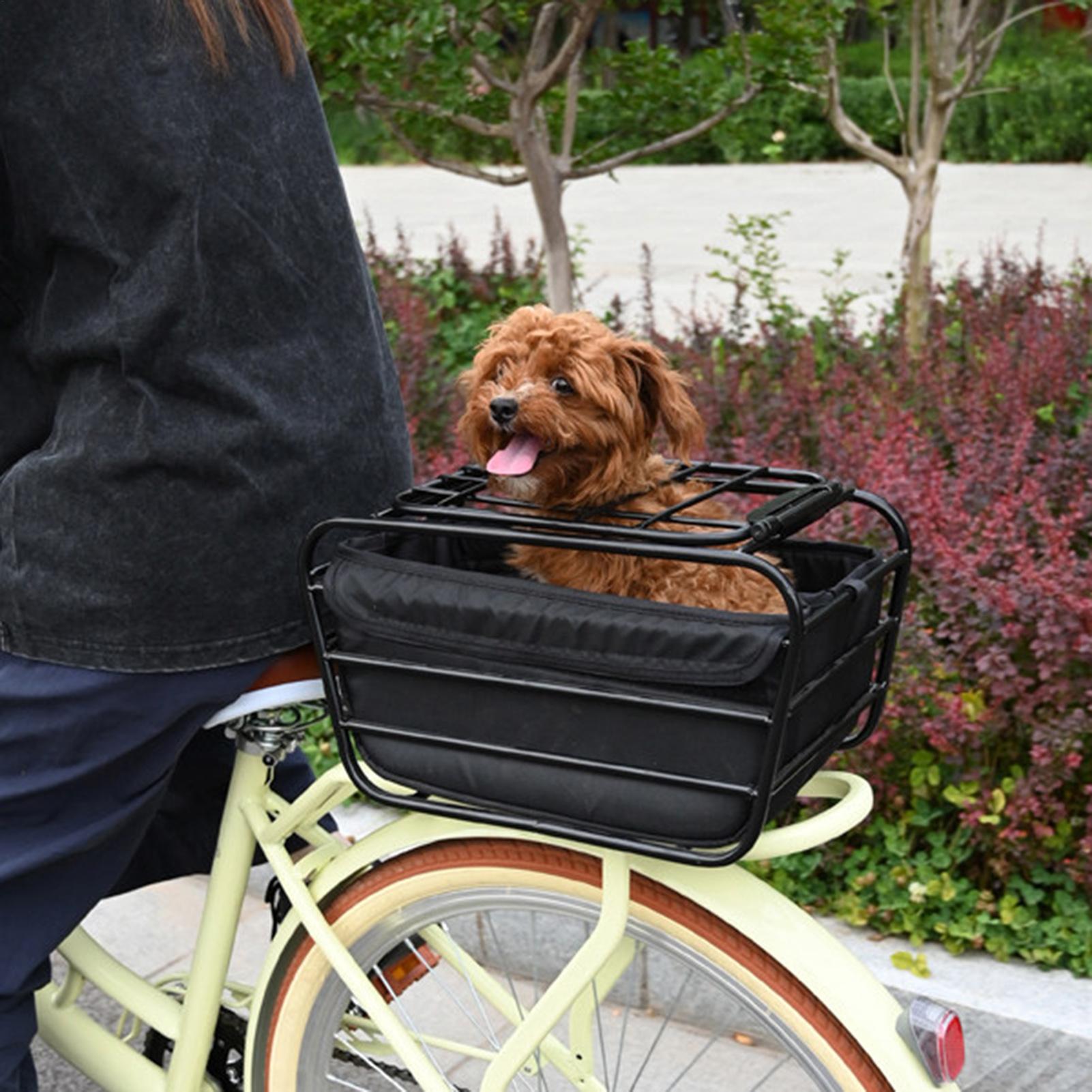Cestino posteriore per bici, r - Cycling Commute recensione e prezzo